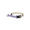 Martingale Dog Training Collar