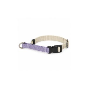 Martingale Dog Training Collar