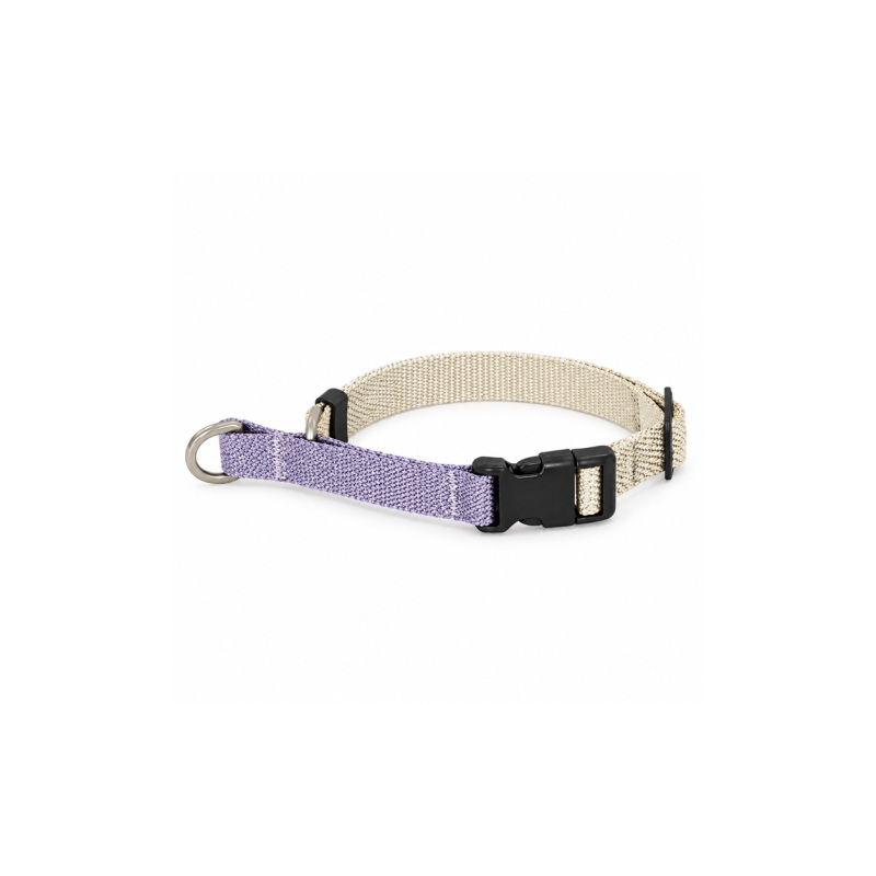 Martingale Dog Training Collar