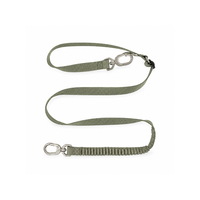 Bungee Dog Leash