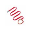 Multi-Position Dog Leash