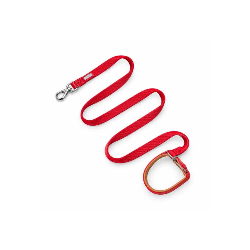 Multi-Position Dog Leash